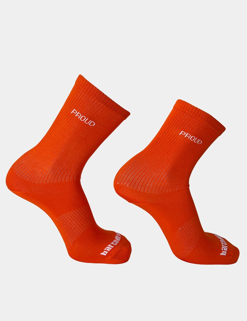 BARCODE BERLIN PROUD GYM SOCKS