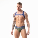 LEADER GI HARNESS