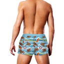 PROWLER SWIM TRUNCK GAYWATCH