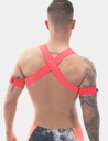 BARCODE BERLIN HARNESS LEONSH