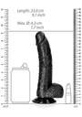 REAL ROCK CURVED REALSITIC DILDO WITH BALLS AND SUCTION CUP 20,5 CM 