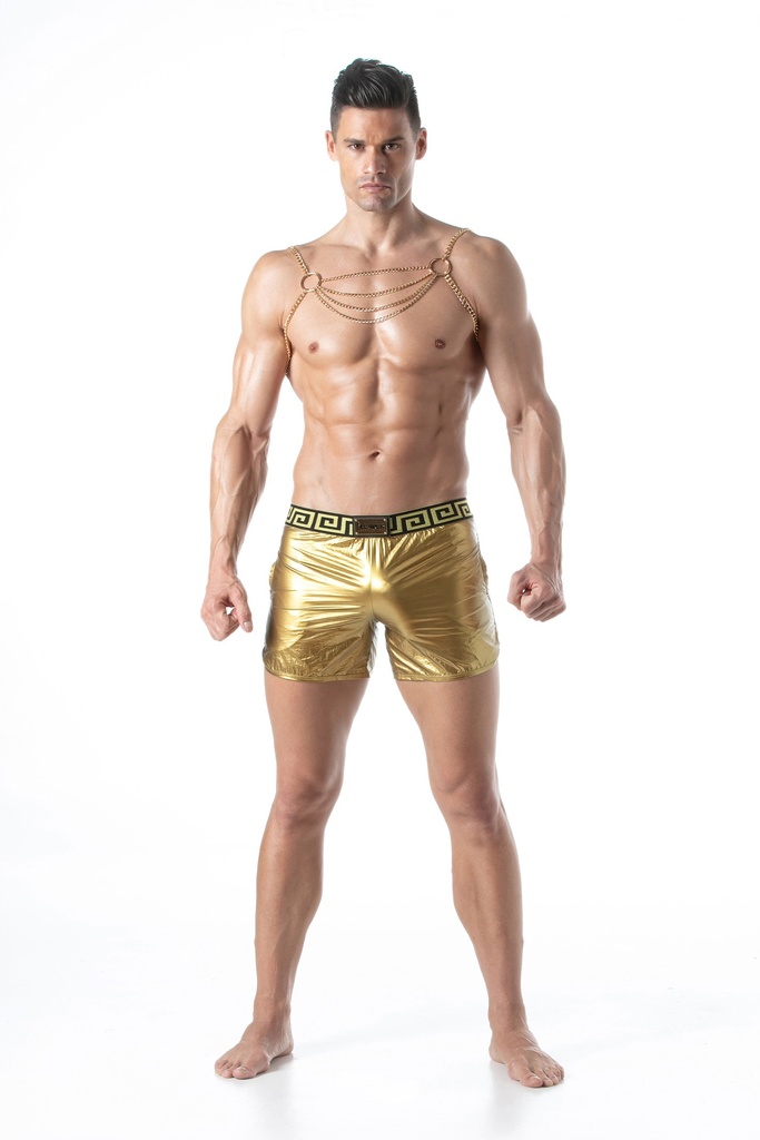 LEADER CHAIN HARNESS LIGHT