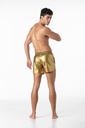 LEADER INVICTUS PARTY SHORTS