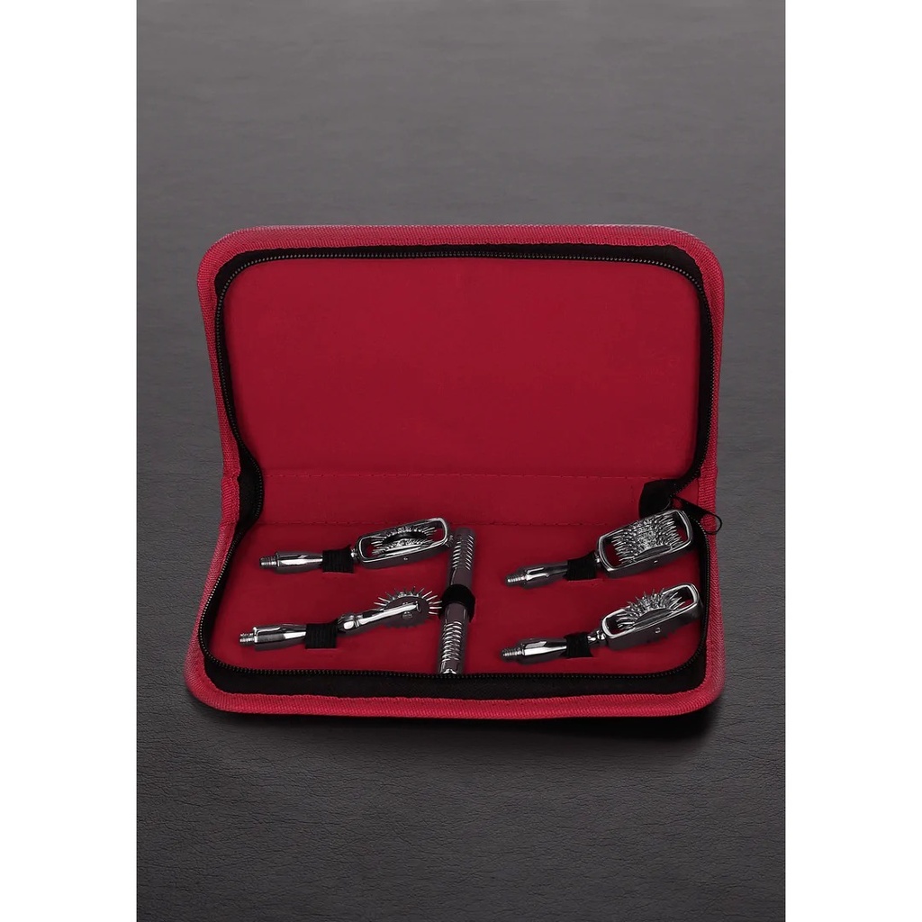 PINWHEEL COMBINATION SET W/ CASE