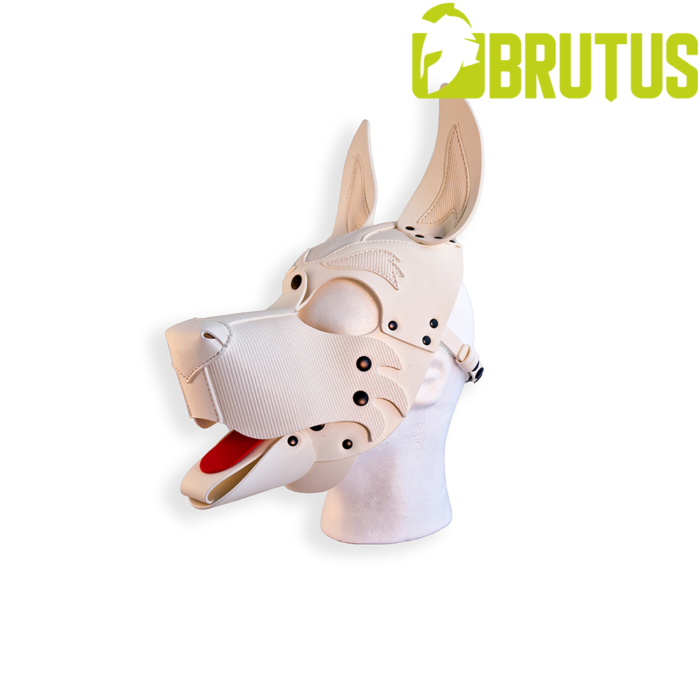 BRUTUS VEGAN PUP HOOD