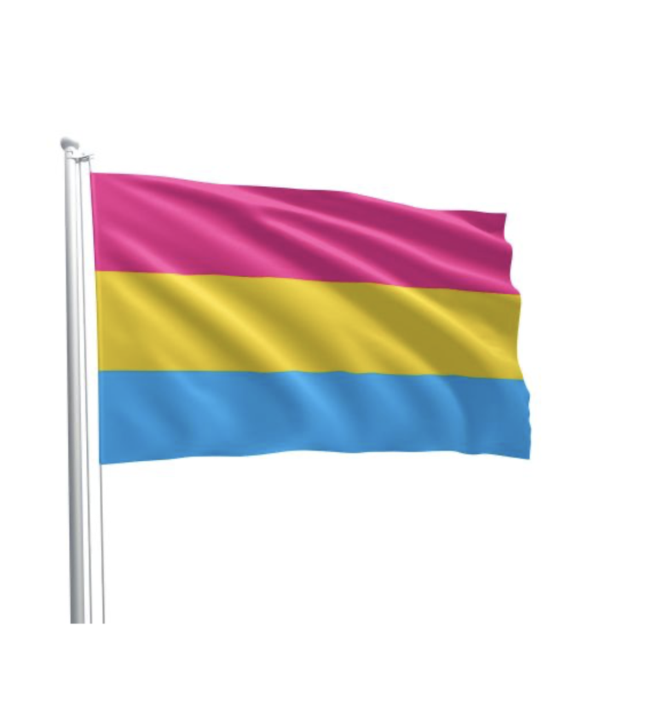 PANSEXUAL FLAG