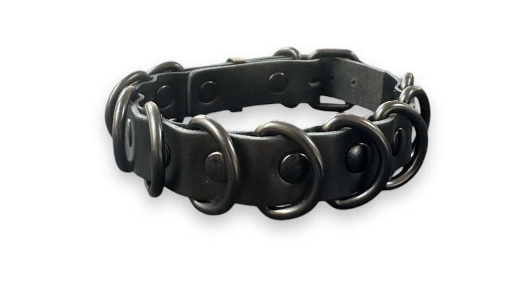 PROVOCATEUR LEATHER BDSM COLLAR DAKOTA