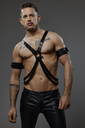 PROVOCATEUR LEATHER HARNESS CHANCE