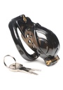 MASTER SERIES DOUBLE LOCK DOWN CHASTITY CAGE