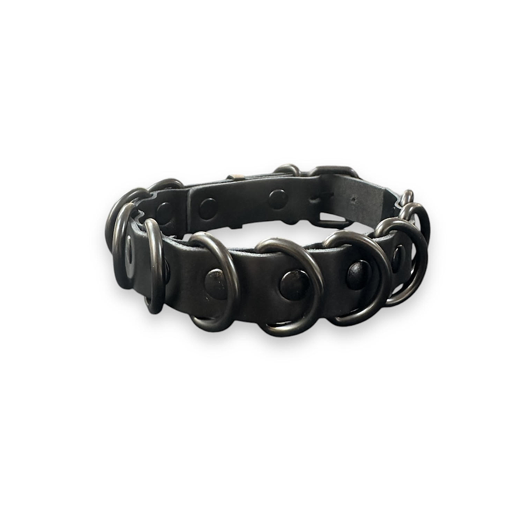 PROVOCATEUR LEATHER BDSM COLLAR DAKOTA