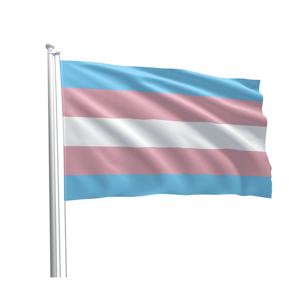 GAYT*GEAR PRIDE FLAG TRANS 90x150cm