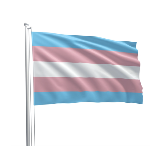 [834205] GAYT*GEAR PRIDE FLAG TRANS 90x150cm