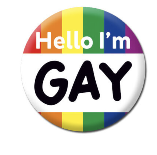 [DMD 336] DM HELLO I'M GAY BADGE