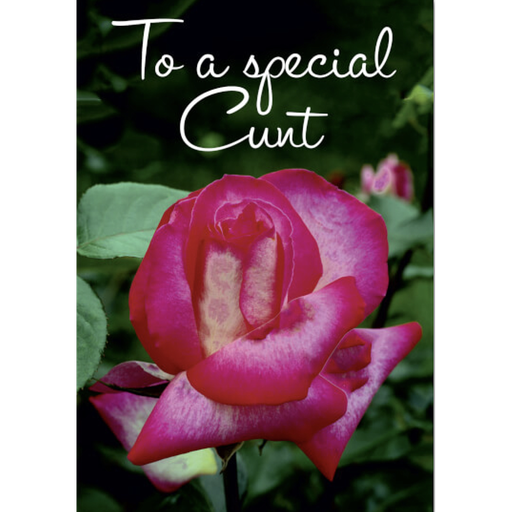 [DMA 283] DM TO A SPECIAL CUNT BDAY