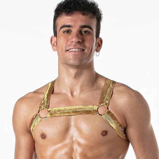 LEADER METALLIC HARNESS